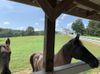 215 Holbrooks Road photo